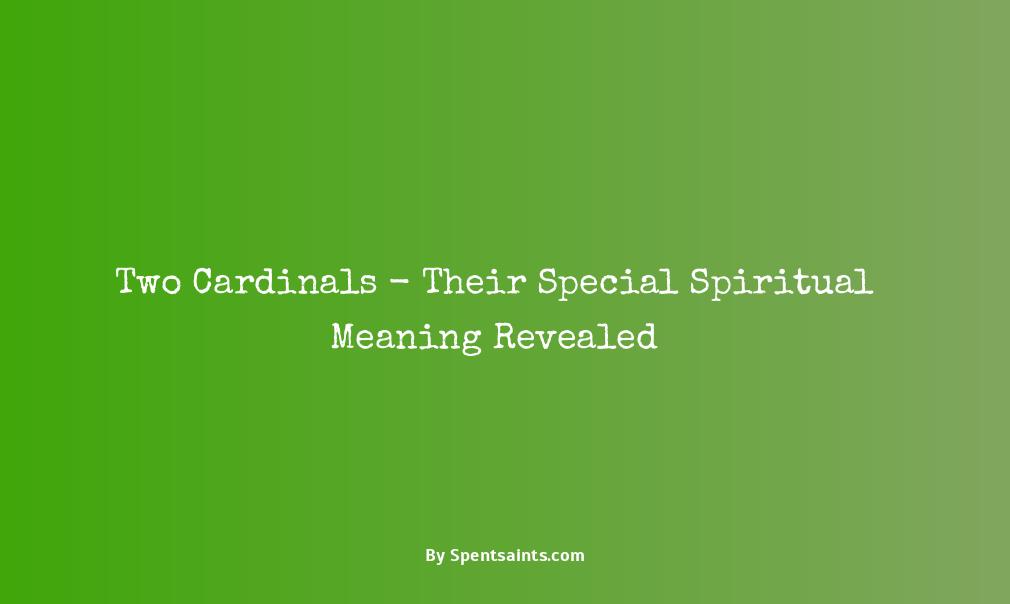 2 red cardinals spiritual meaning