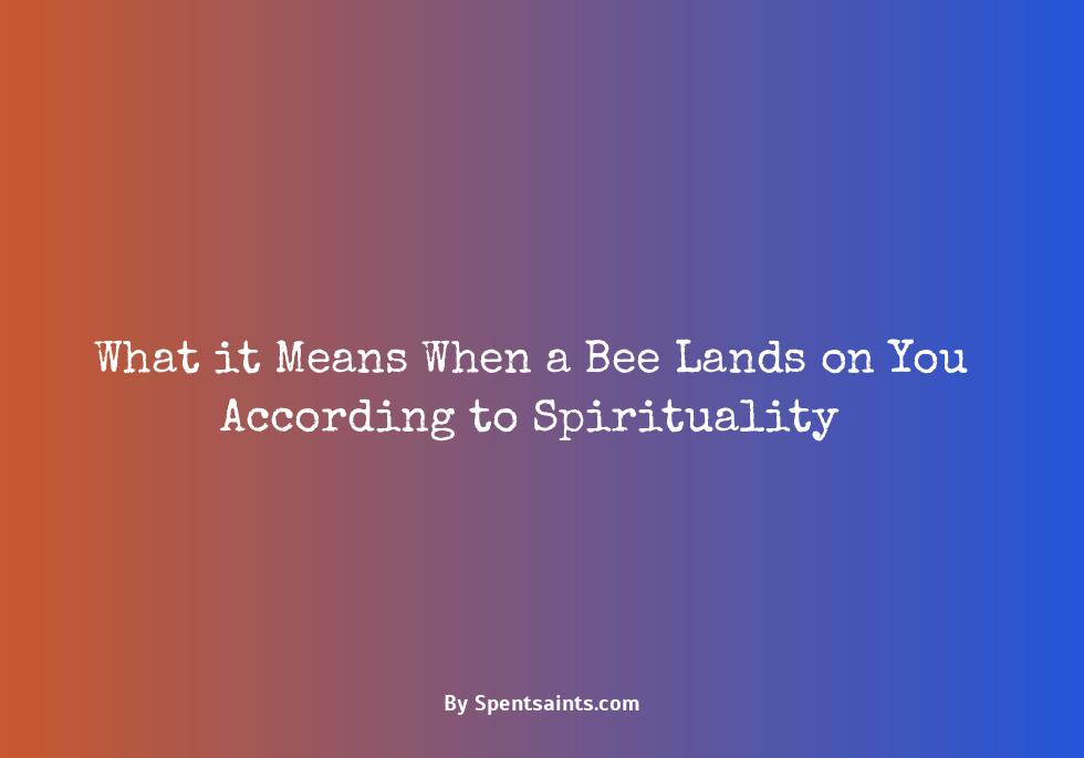 bee landing on me spiritual meaning