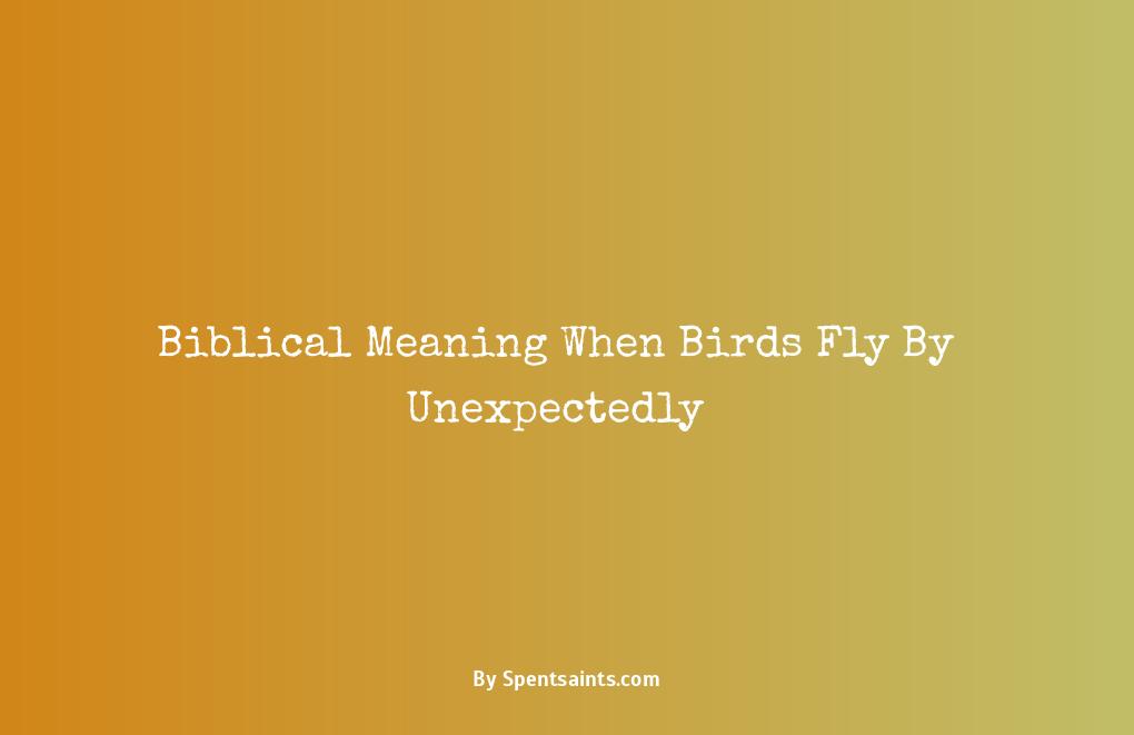 biblical meaning of birds flying in front of you