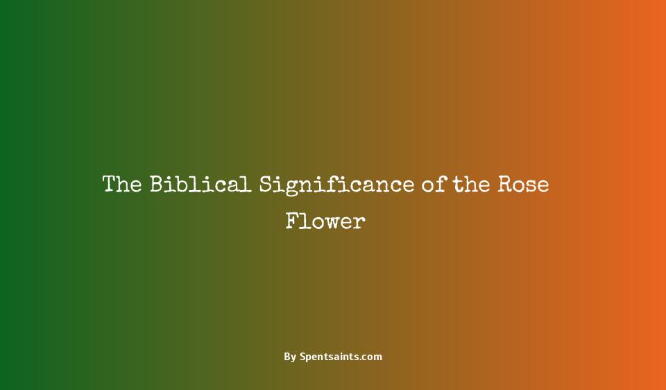 biblical meaning of rose