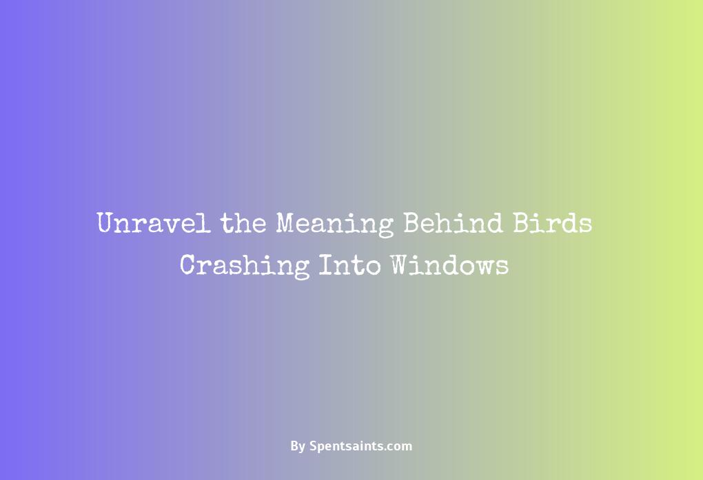bird crashing into window meaning