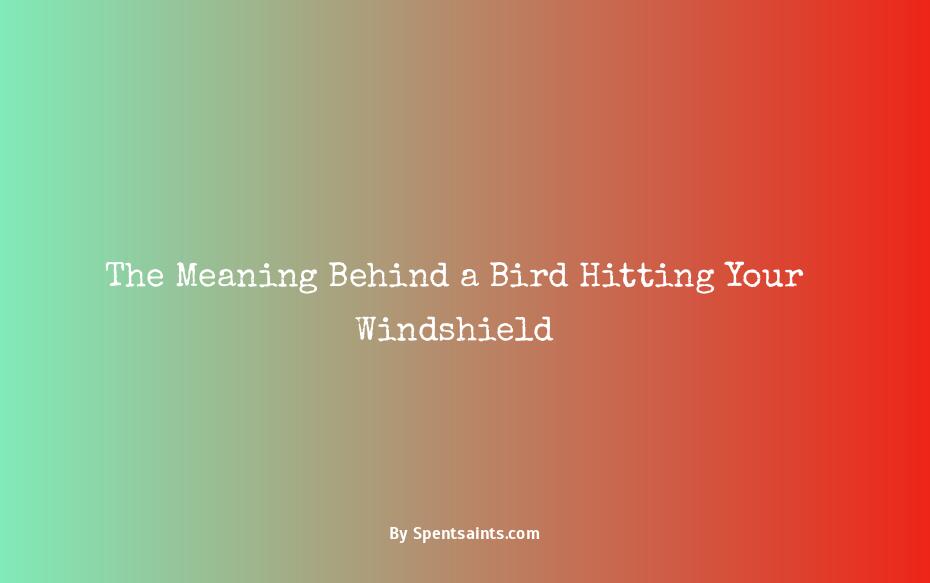bird hit windshield meaning