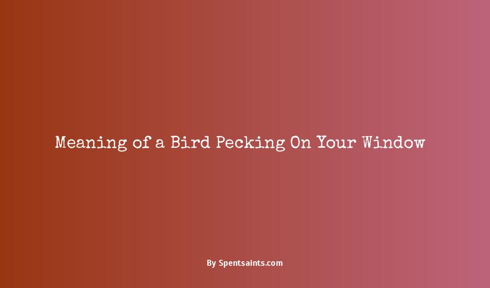 bird pecking at window meaning