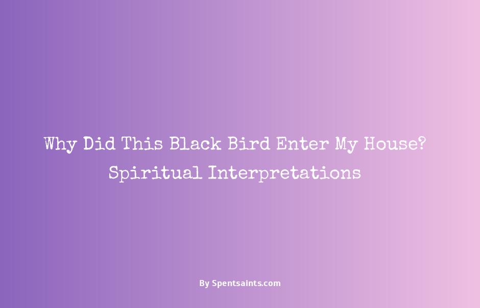 black bird in house meaning