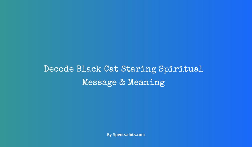 black cat staring at me spiritual meaning