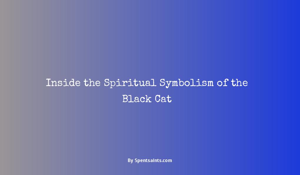 black cat symbolism spiritual