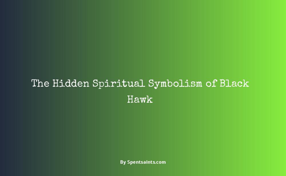 black hawk spiritual meaning