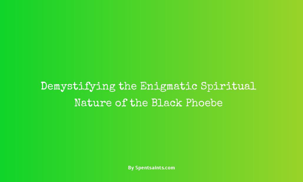 black phoebe spiritual meaning