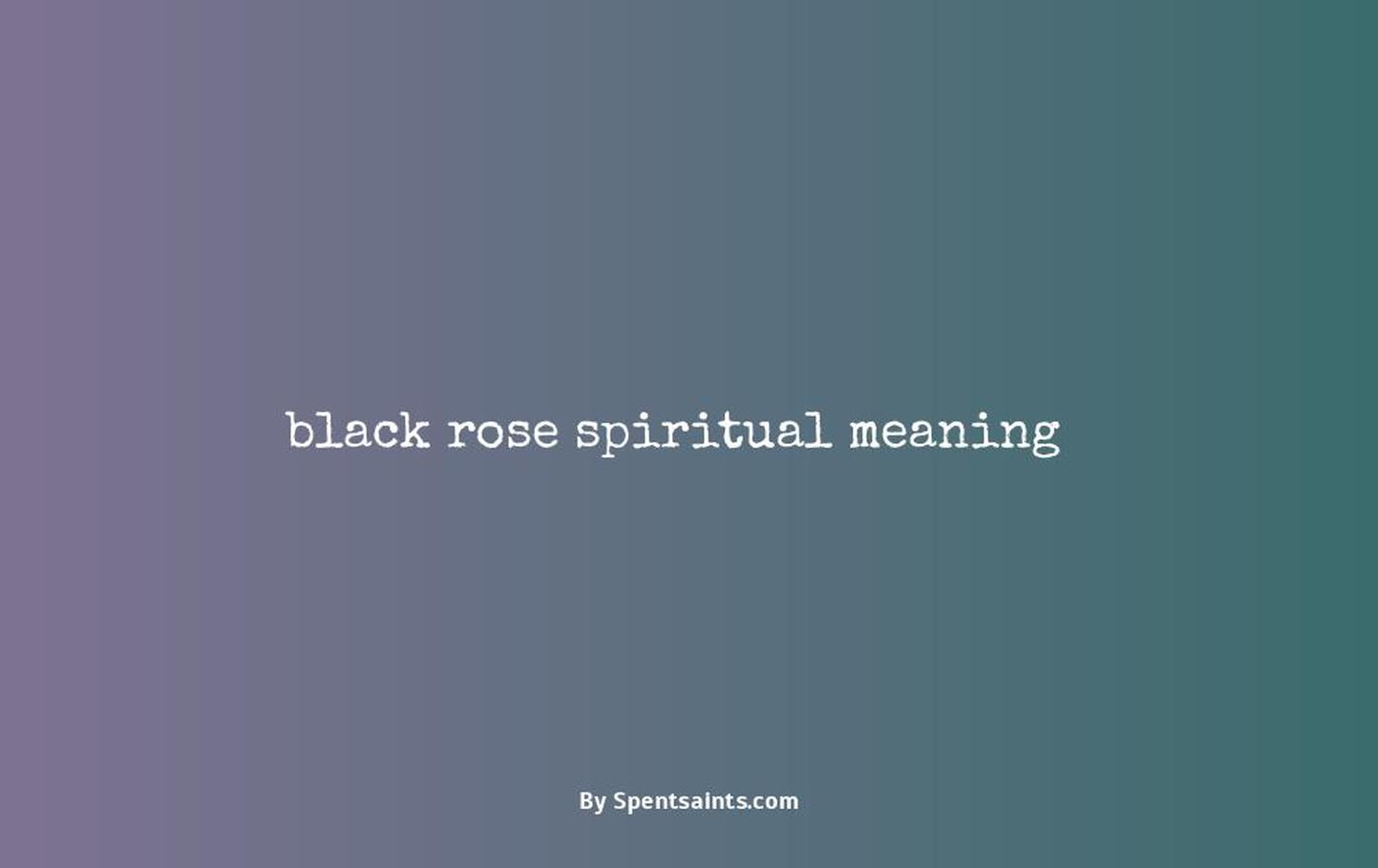 black rose spiritual meaning