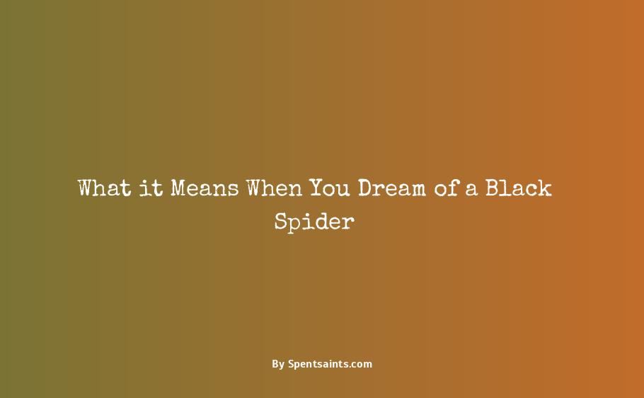 black spider dream meaning