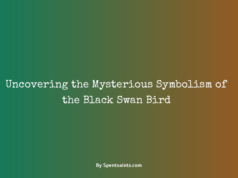 black swan bird symbolism