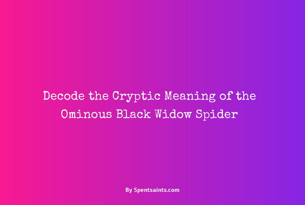 black widow spider meaning