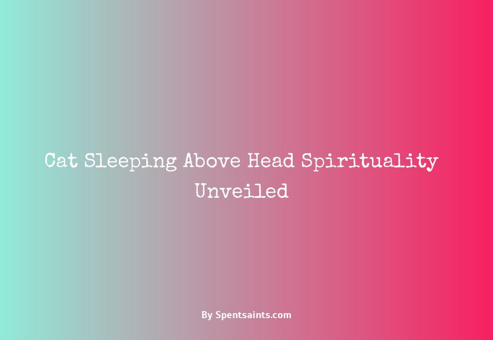 cat sleeping above my head meaning spiritual
