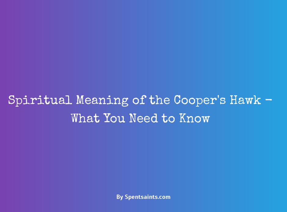 cooper's hawk spiritual meaning