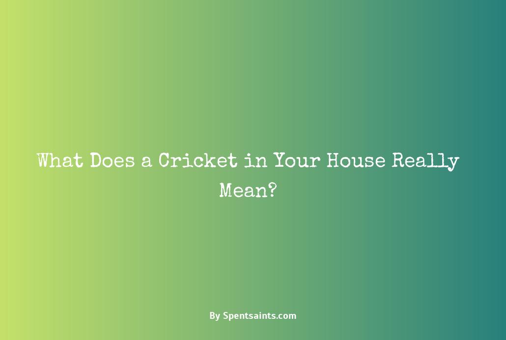 cricket in house meaning
