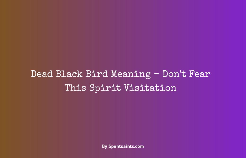 dead black bird meaning