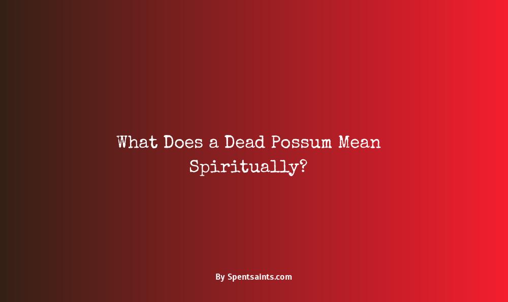 dead possum spiritual meaning