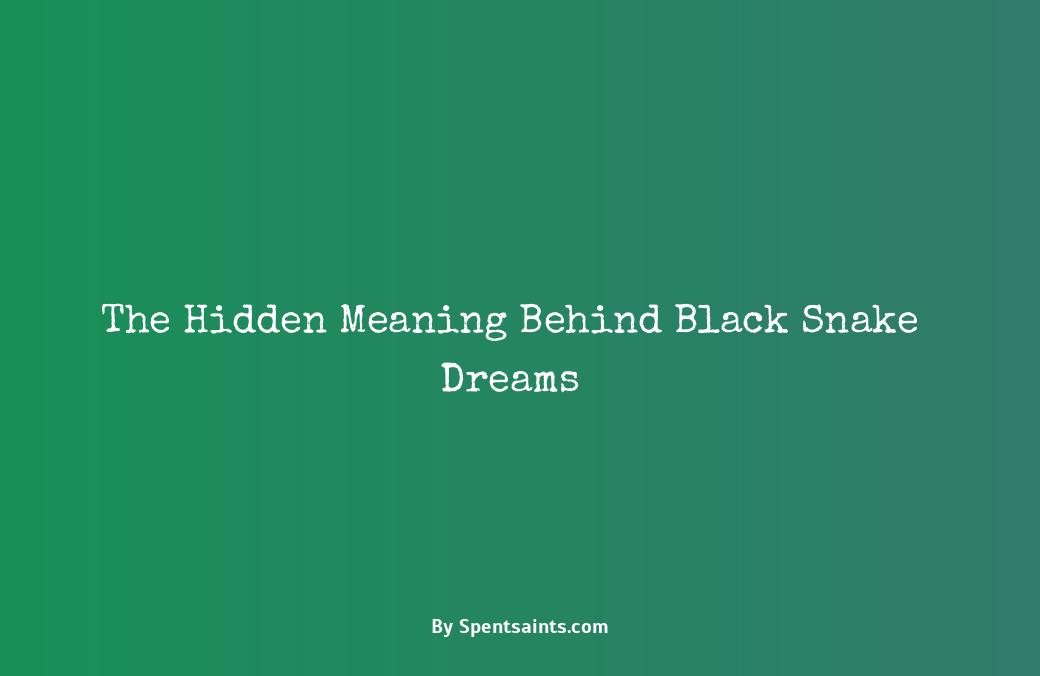 dream of black snakes meaning