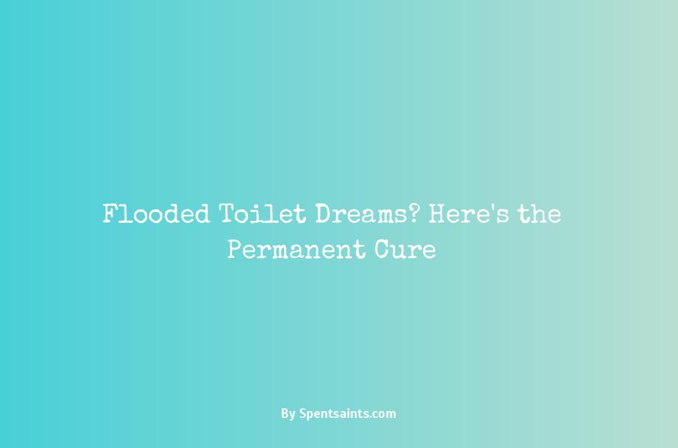 dream of toilet flooding