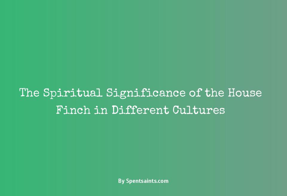 house finch spiritual meaning