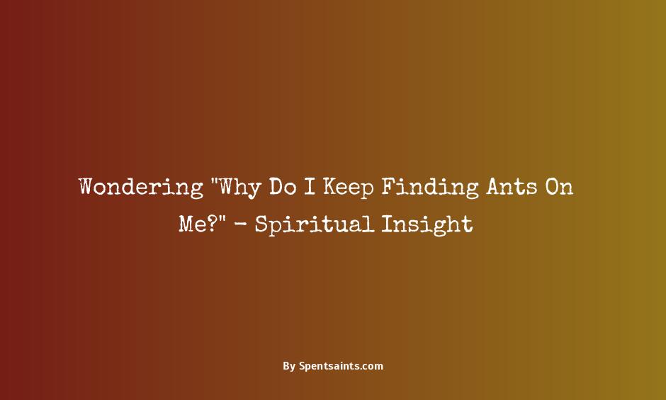 keep finding ants on me spiritual meaning