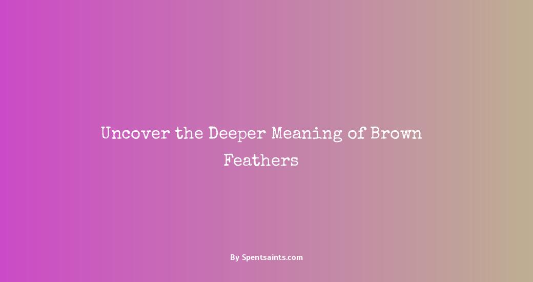 meaning of brown feathers