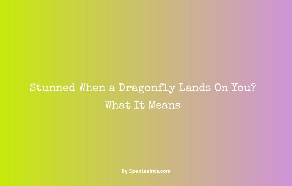 meaning of dragonfly landing on you