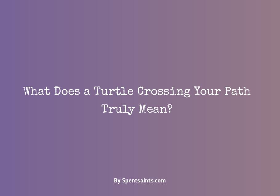 meaning of turtle crossing your path