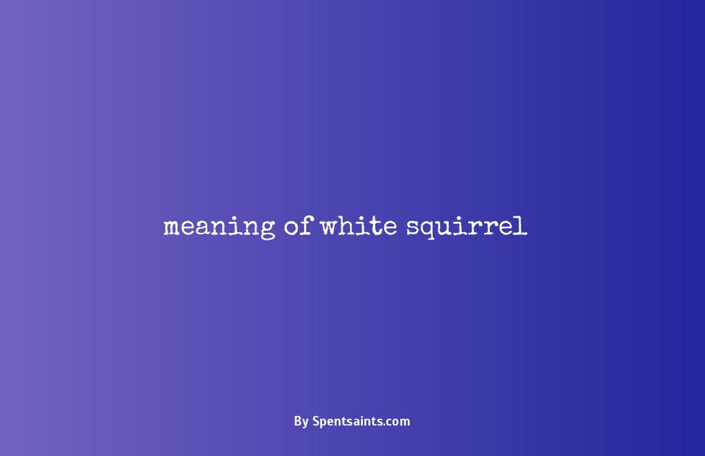meaning of white squirrel