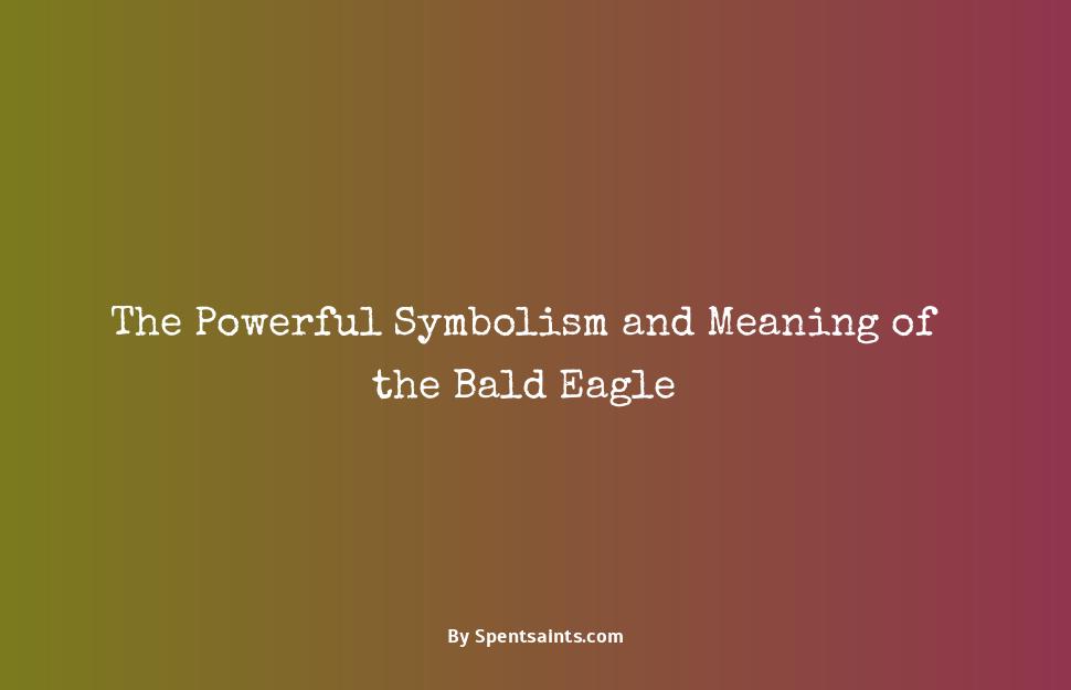 meaning of a bald eagle