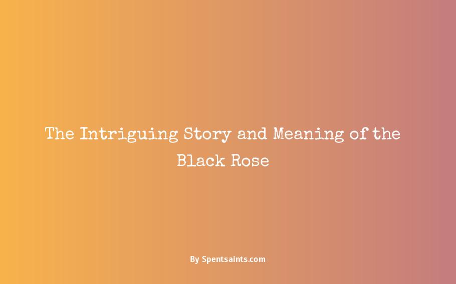 meaning of a black rose