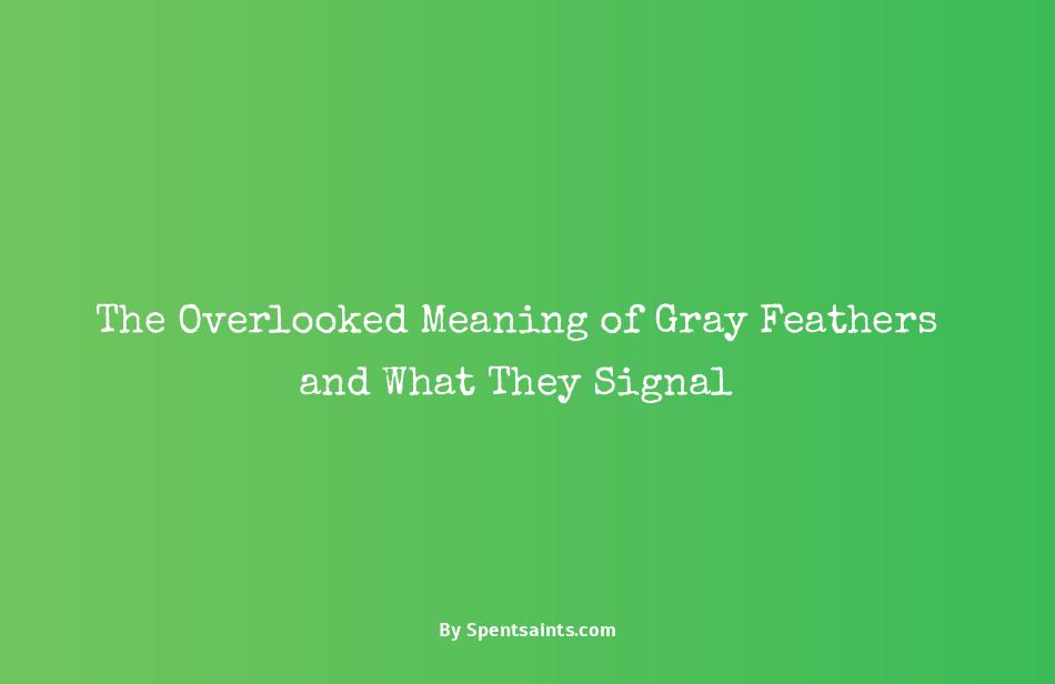 meaning of a gray feather