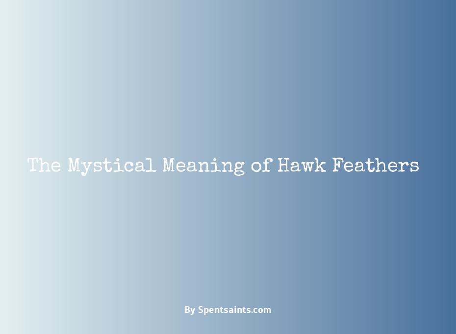 meaning of a hawk feather
