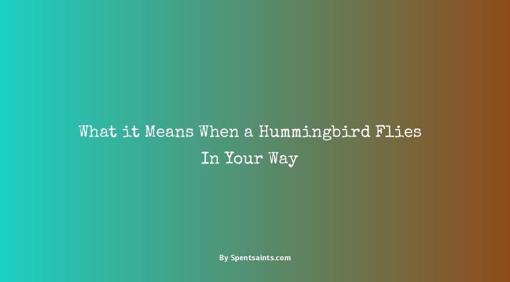 meaning of a hummingbird flying in front of you