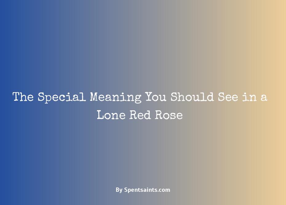 meaning of a single red rose