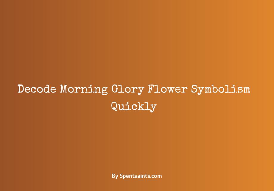 morning glory flower symbolism