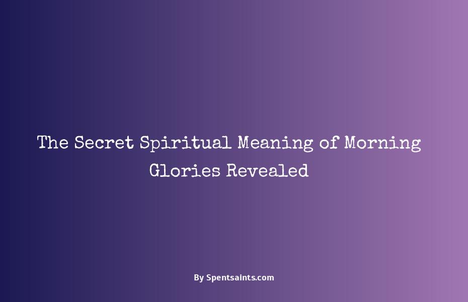 morning glory spiritual meaning