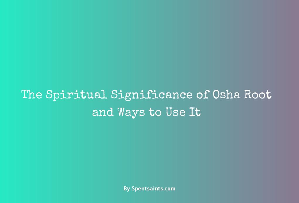 osha root spiritual uses