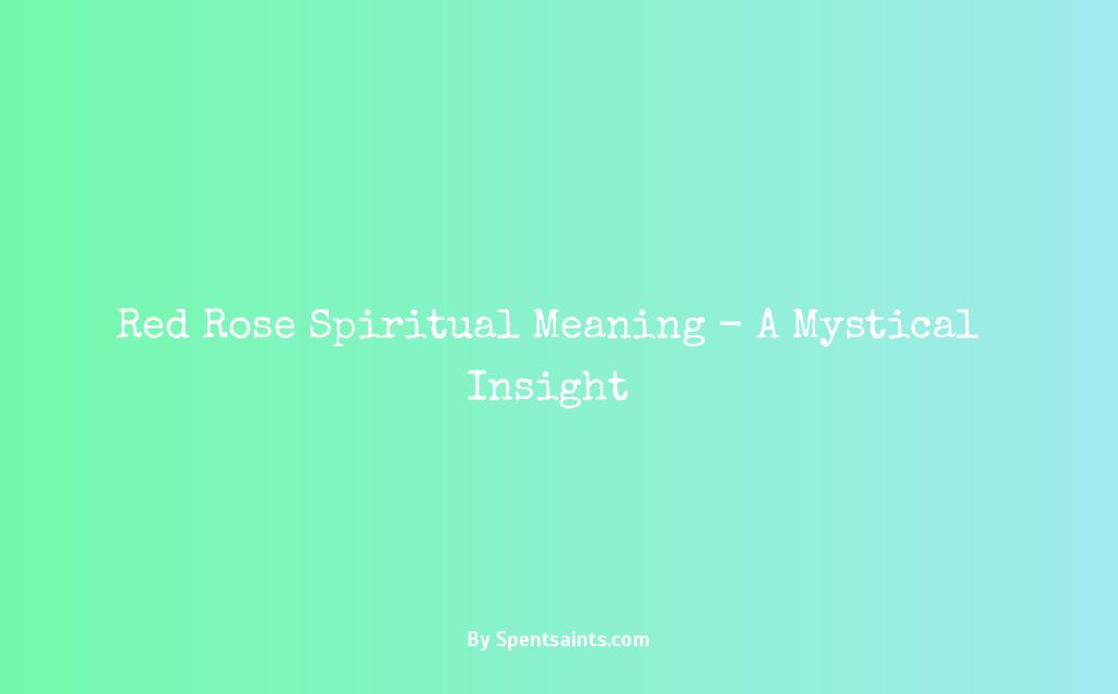 red rose meaning spiritual