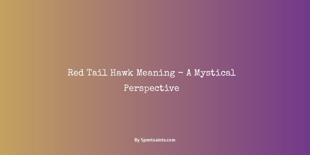 red tail hawk meaning