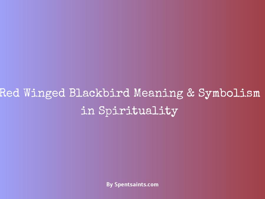 red winged blackbird spiritual meaning