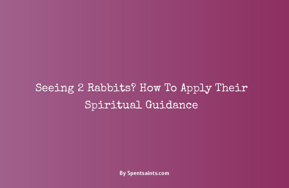 seeing 2 rabbits spiritual meaning