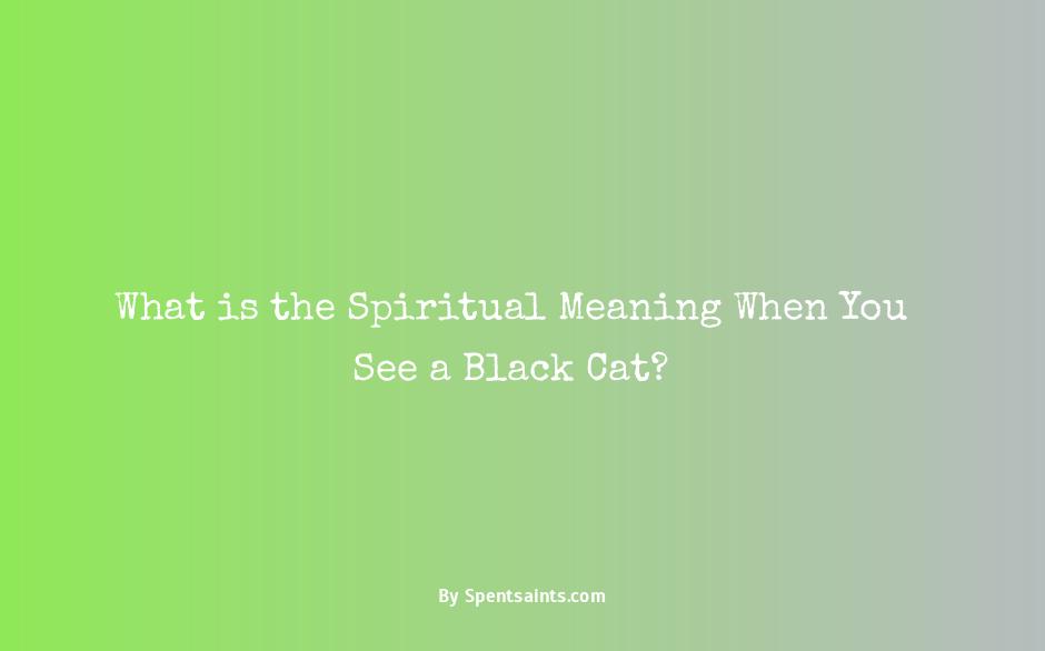 seeing a black cat meaning