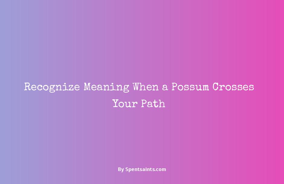 seeing a possum meaning