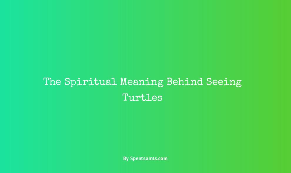 seeing a turtle meaning