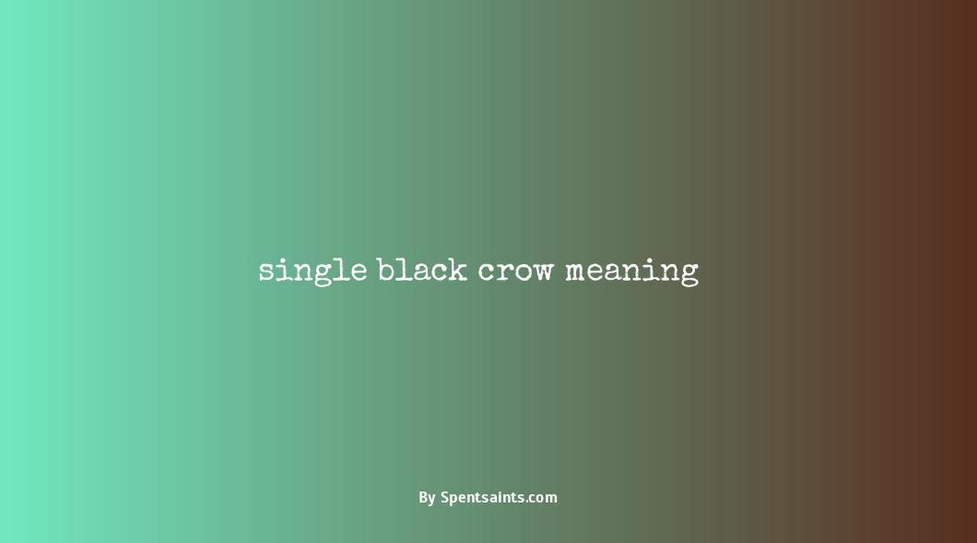 single black crow meaning