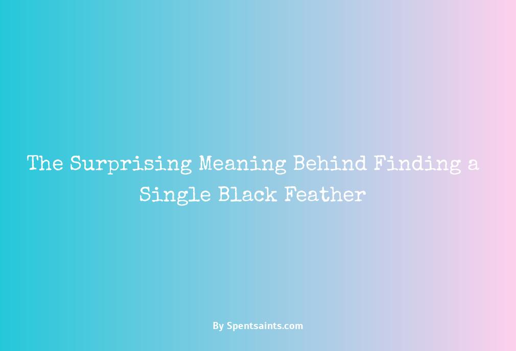 single black feather meaning