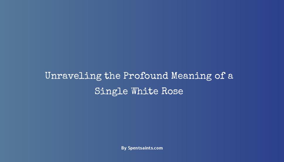 single white rose meaning