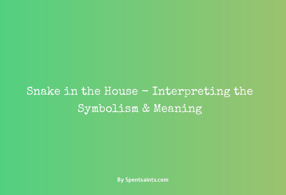 snake in house meaning