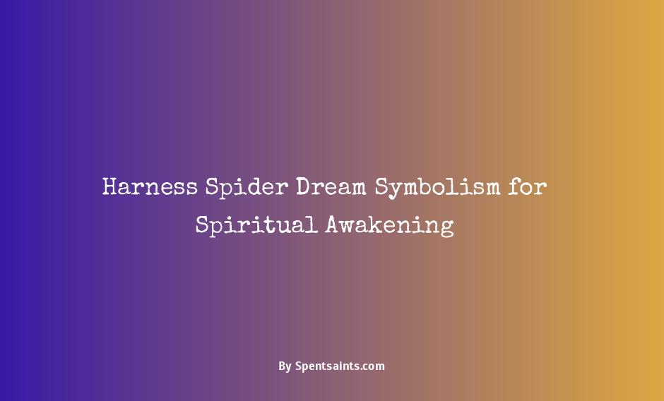spider dream spiritual meaning